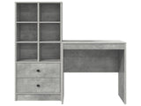 Desk with Drawer with Shelf with Storage 2 pcs Concrete Grey 3337340
