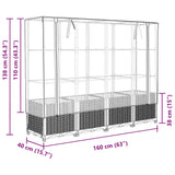 ZNTS Raised Bed with Greenhouse Cover Rattan Look 160x40x138 cm 4015830