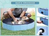 Dog Pool 64426313