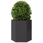 ZNTS Garden Planter 2 pcs Black Hexagon 46x40x45 cm Steel 851109