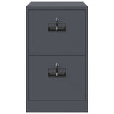 File Cabinet Anthracite 44 x 50 x 74.5 cm Cold-Rolled Steel 891594