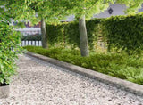 Lawn Edging 10 pcs 100 x 25 cm Steel Silver 8008617