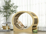 Cat Wheel with Brake, Scratching Pads - Oak Tone T3398P349958