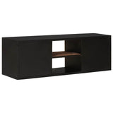 TV Cabinet with Shelf with Storage with Door 105 x 30 x 35 cm 42020104