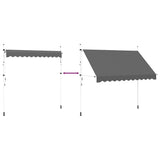 143690 Manual Retractable Awning 300 cm Anthracite