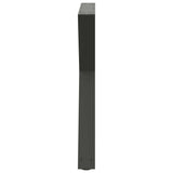 Dining Table Legs 2 pcs Anthracite 80x cm Steel 4012730