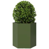Garden Planter Olive Green Hexagon 46x40x45 cm Steel 851114