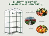 Mini Greenhouse 55422560