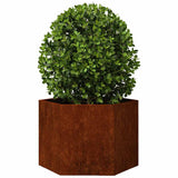 Planter Rusty 60x60x45 cm Corten Steel 823675