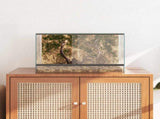 Terrarium with Storage Transparent 50 x 30 x 30 cm Glass 42020390
