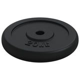 Weight Plate 40 kg Cast Iron 3145054