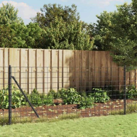 Wire Mesh Fence Anthracite 1x10 m Galvanised Steel 154225