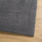 Rug HUARTE Short Pile Soft and Washable Anthracite 240x240 cm 375006