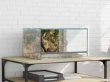 Terrarium with Storage Transparent 40 x 30 x 30 cm Glass 42020389