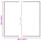 Tarpaulin with Eyelets Transparent 5 x 5 m Polyethylene 3429320