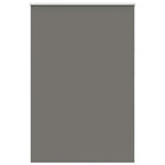 ZNTS Roller Blind Blackout Grey 165x210 cm Fabric Width 161.6 cm Polyester 4011193