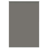 ZNTS Roller Blind Blackout Grey 165x210 cm Fabric Width 161.6 cm Polyester 4011193