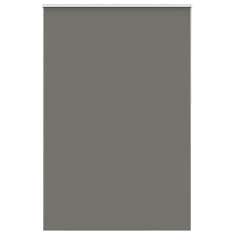 ZNTS Roller Blind Blackout Grey 165x210 cm Fabric Width 161.6 cm Polyester 4011193