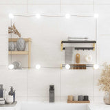Wall Mirror with LED Lights 50x80 cm Glass Rectangle 3189156