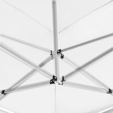 Professional Folding Party Tent with Walls Aluminium 6x3 m White 45510