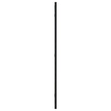 Wall Mirror Black 40x80 cm Rectangle Iron 358629