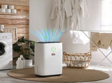 20L/Day Portable Dehumidifier for Home, with LED Screen, Sleep Mode, 24H Timer, 4L Water Tank, T3398P378788