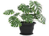 Plant Pots 24 pcs Black 26 x 21.5 cm Plastic 3403286