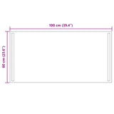 LED Bathroom Mirror Transparent 100 x 60 cm Tempered Glass 42045805