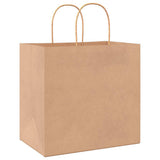 Paper Bags 250 pcs with Handles Brown 26x17x25 cm 4101591