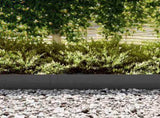 Lawn Edging 30 pcs Black 100 x 0.05 x 20 cm Cold Rolled Steel 865948