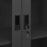 Office Cabinet Anthracite Steel, tempered glass Large 335949