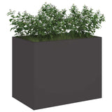 Garden Planter Black 50 x 32 x 40 cm Cold-rolled Steel 876350