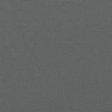 Retractable Side Awning Anthracite 160x1000 cm 4004733