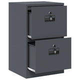 File Cabinet Anthracite 45.5 x 42 x 74.5 cm Cold-Rolled Steel 891612