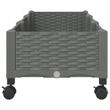 Garden Planter with Wheels Light Grey 120 x 40 x 33 cm PP 3423044