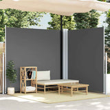 Retractable Side Awning Anthracite 200x600 cm 318008