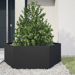 ZNTS Garden Planter Black Hexagon 138x120x45 cm Steel 851136