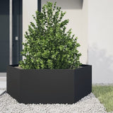 ZNTS Garden Planter Black Hexagon 138x120x45 cm Steel 851136