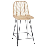 Bar Chair 2 pcs 44.5 x 54.5 x 97.5 cm Rattan and Iron 42011546