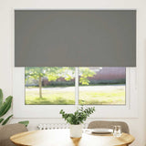 ZNTS Roller Blind Blackout Grey 165x150 cm Fabric Width 161.6 cm Polyester 4011141