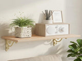 Wall Shelf Brackets 12 pcs Antique White 23.5 x 28 x 3.5 cm 42038876