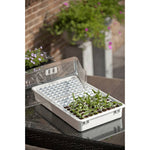 ZNTS Nature Propagator Set 55x31x22 cm 6020203 409319
