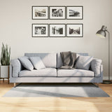 Rug IZA Short Pile Scandinavian Look Grey 80x150 cm 375450