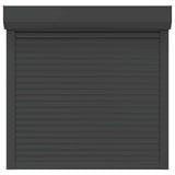 Roller Shutter Manual Anthracite 100 x 100 cm 42047065