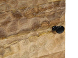 Highboard 40x33x110 cm Solid Wood Mango 356920