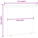 ZNTS Balcony Side Awning 175x250 cm Blue 48438