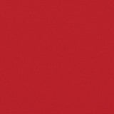 Retractable Side Awning Red 100x1000 cm 4004687