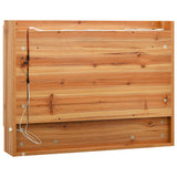 LED Bathroom Mirror Cabinet Oak 80x15x60 cm MDF 323606