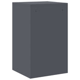 File Cabinet Anthracite 45.5 x 42 x 74.5 cm Cold-Rolled Steel 891612