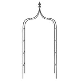ZNTS Garden Arches 2 pcs Black 120x38x260 cm Steel 319349